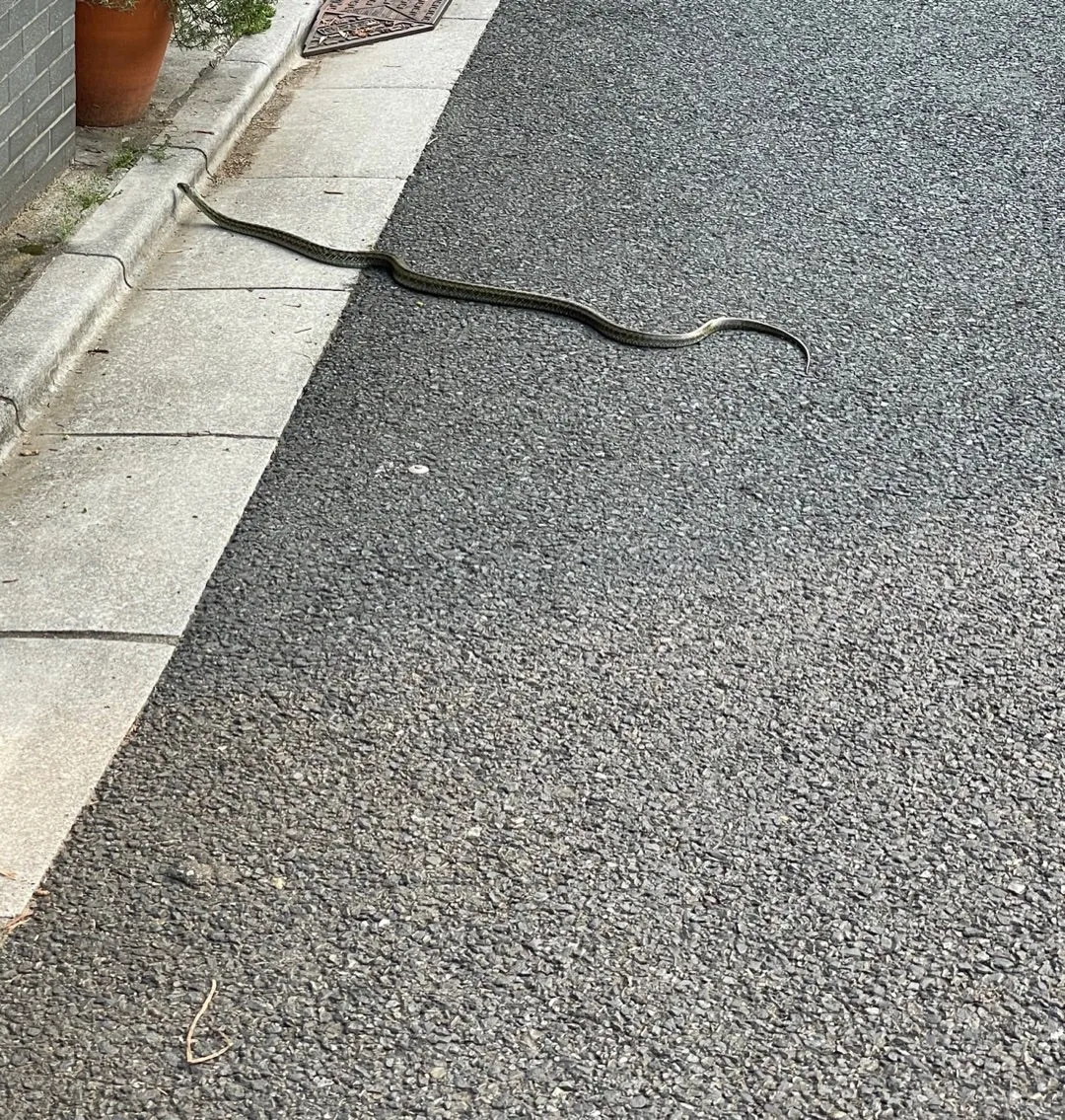 ひゃーー!!!爆笑佐藤優樹